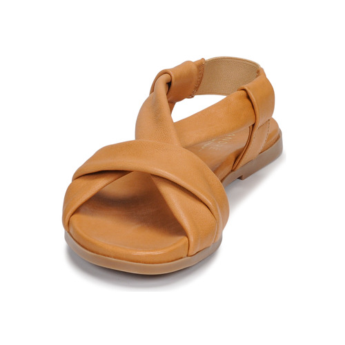 André - BABACO - Camel