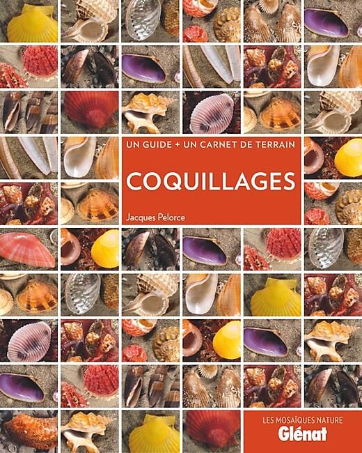 GLENAT - COQUILLAGES