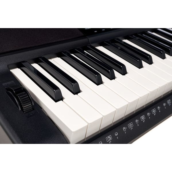 Casio CT-X800