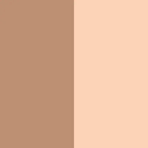Contouring Duo Stick 10 Fair