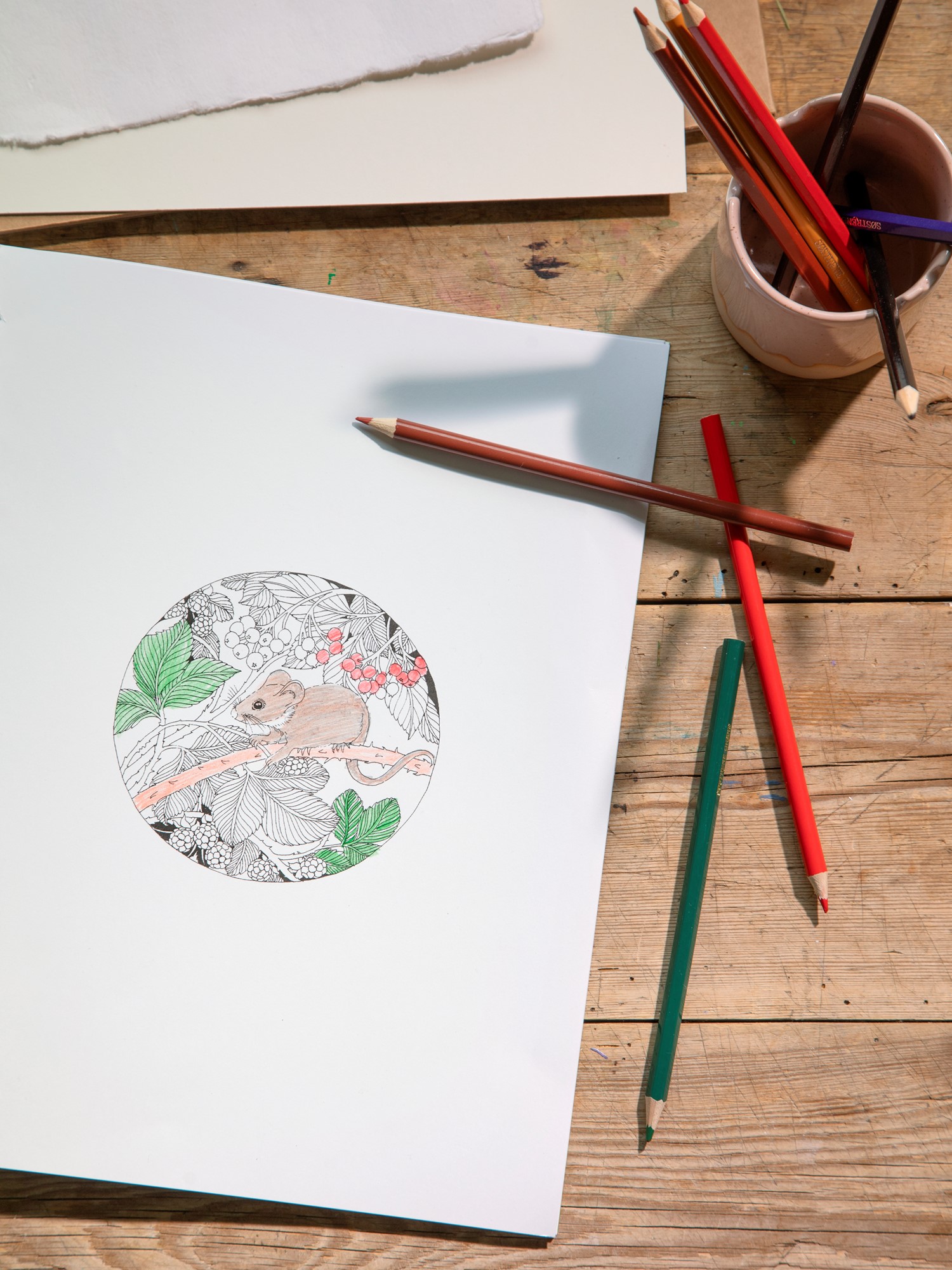 Beautiful Planet Colouring Book | Softcover. Papir. 31 x 23,5 x 1 cm. 80 sider.  | Fern Green | New Mags