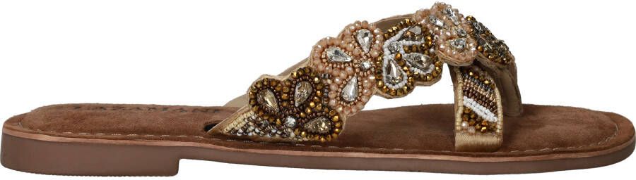 Lazamani Dames Slippers 75.455 Beige | Beige | 75.455 Beige