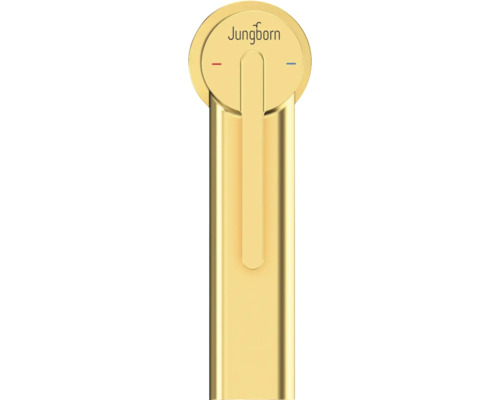 Jungborn LAMBDA wastafelkraan, DVGW gecertificeerd, mat goud