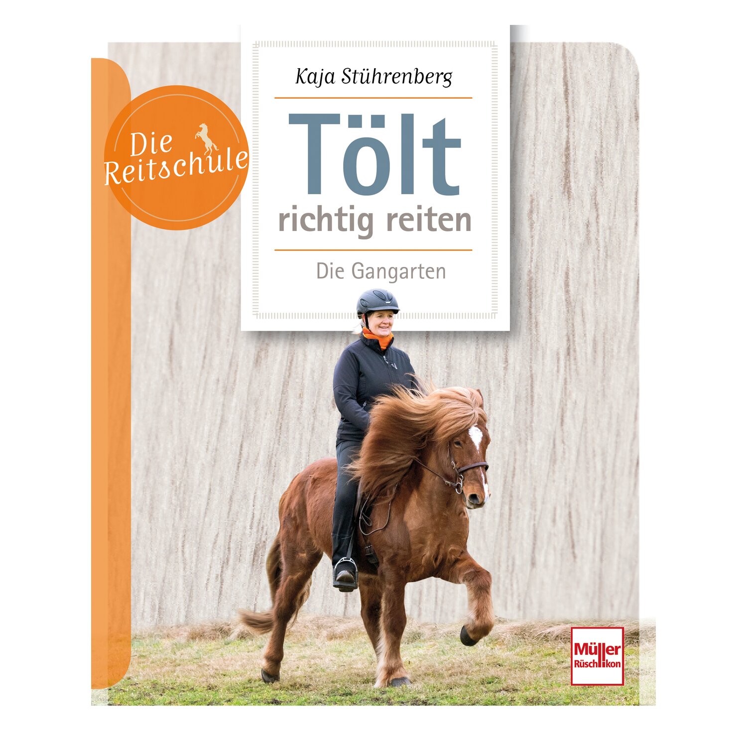 Tölt richtig reiten - Die Gangarten