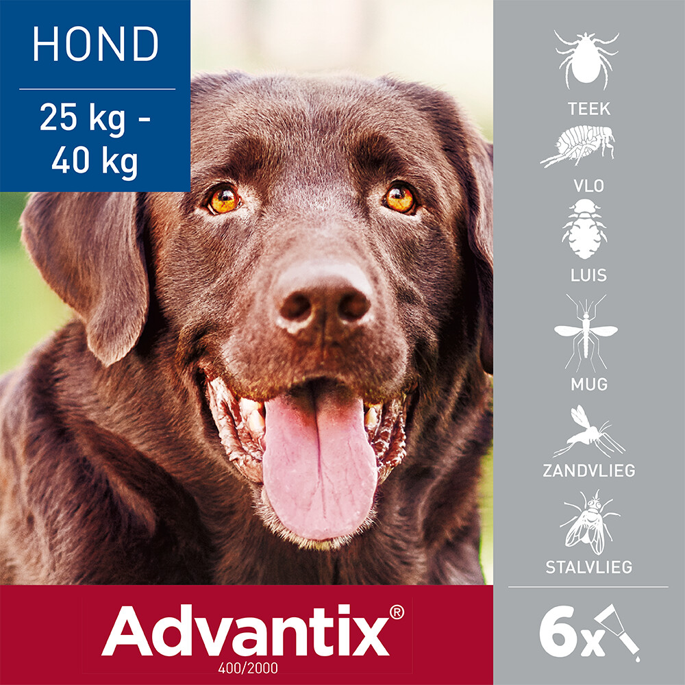 Advantix Spot On 400 Anti Vlooien en Teken Druppels Hond 25 - 40 kg6 pipetten