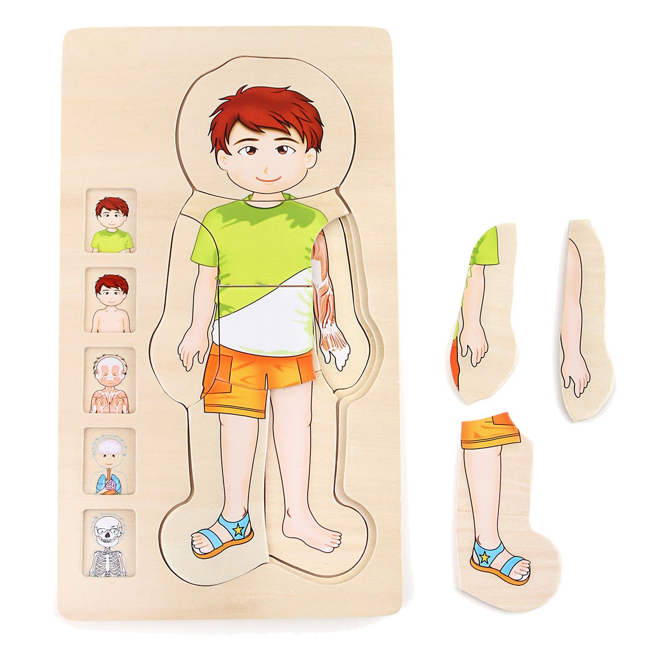 Smallfoot Holzpuzzle Anatomie Junge 5842 Puzzle