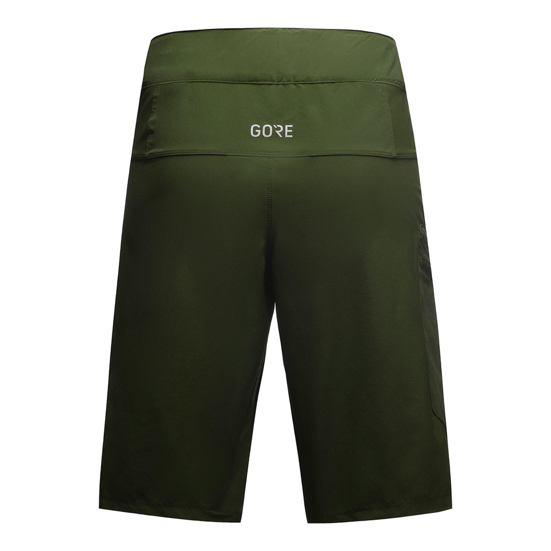 GORE Wear Passion MTB Fietsbroek Kort Groen Dames