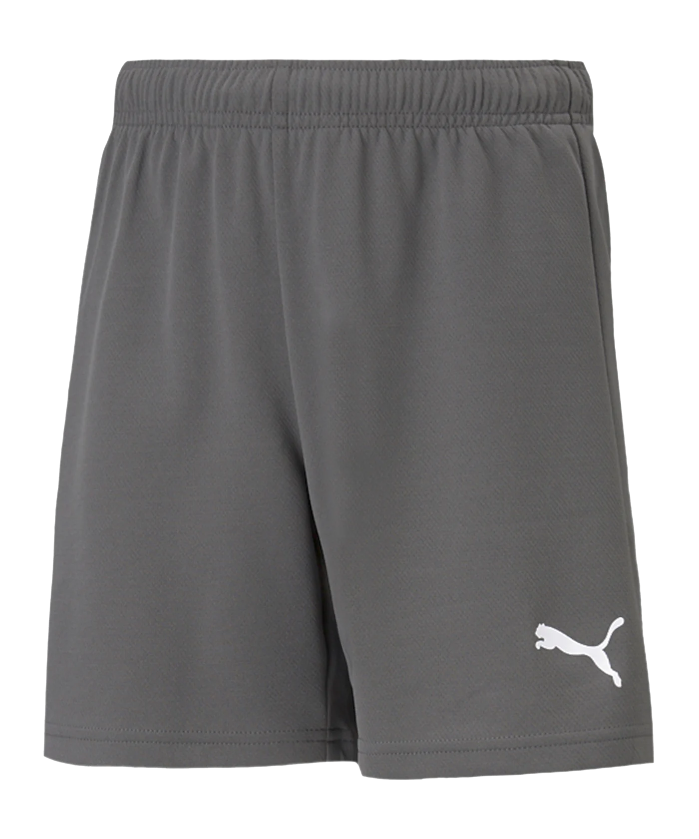 PUMA teamRISE Short Kids Grau Weiss F13
