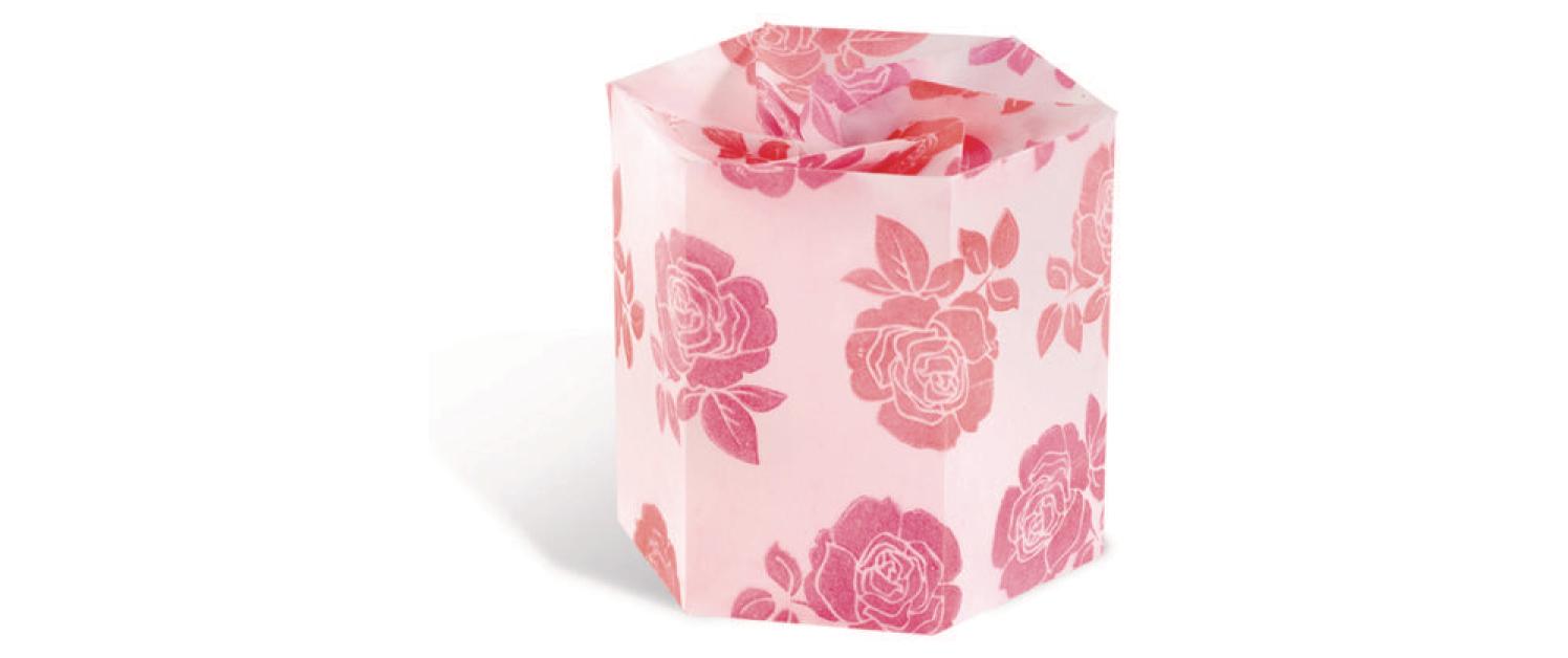 Transparentpapier A4, 115 g/m², 10 Stück, WeissTransparentpapier extra stark