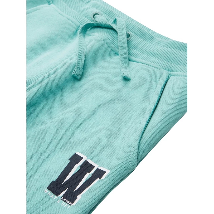 TOM TAILOR Sweathose Printed Dusty Green