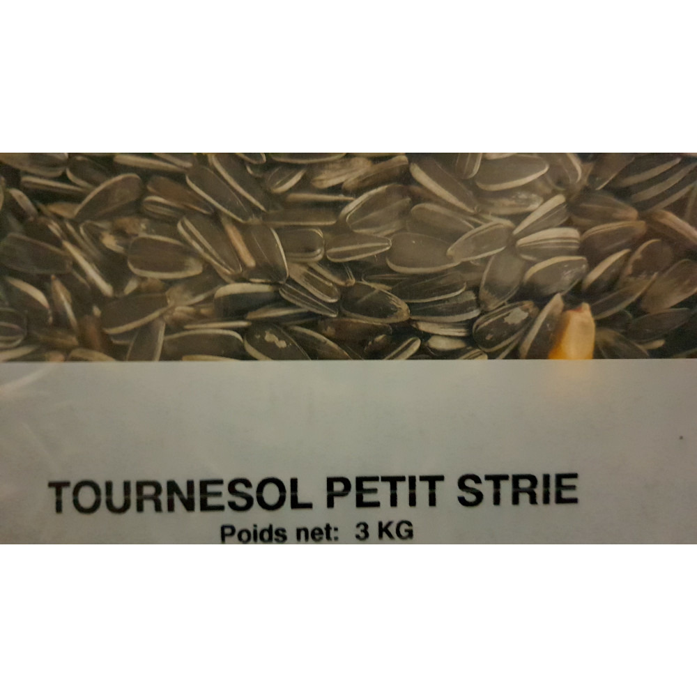 Graine tournesol petit strie 3 kg pour oiseaux