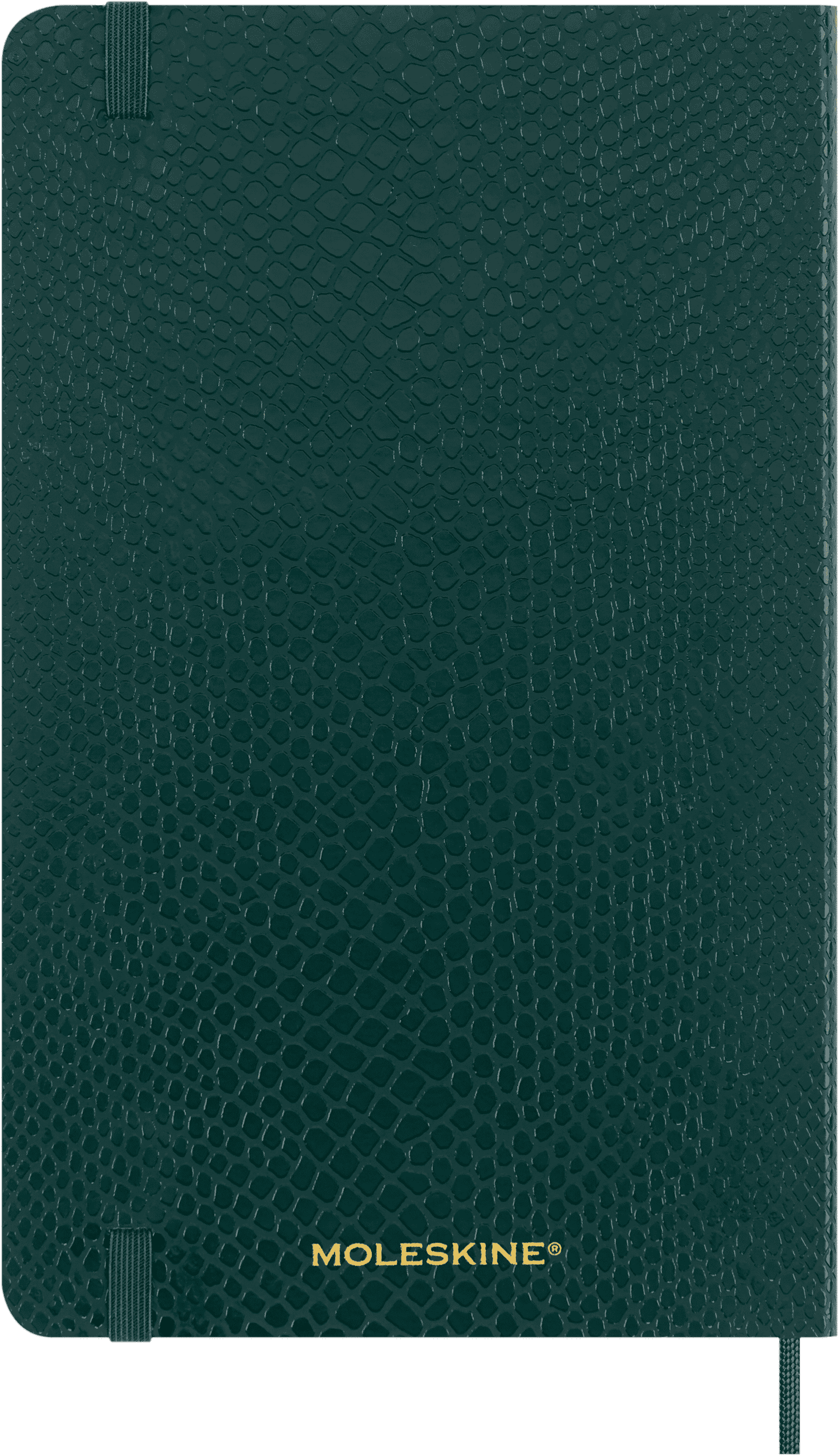 Precious & Ethical Notebook Vegan Soft Cover, Python-effect, Ruled