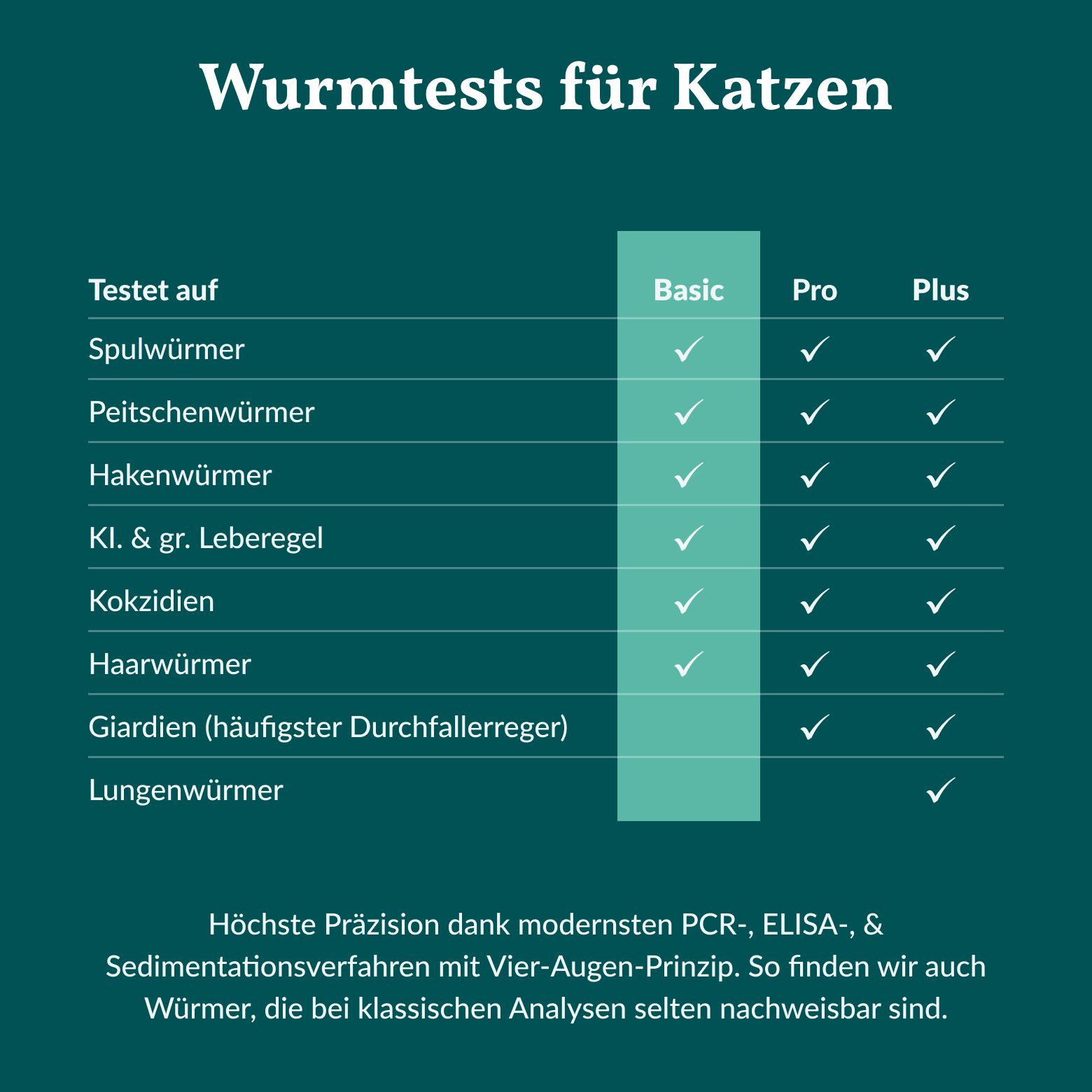 Wurmtest Katze