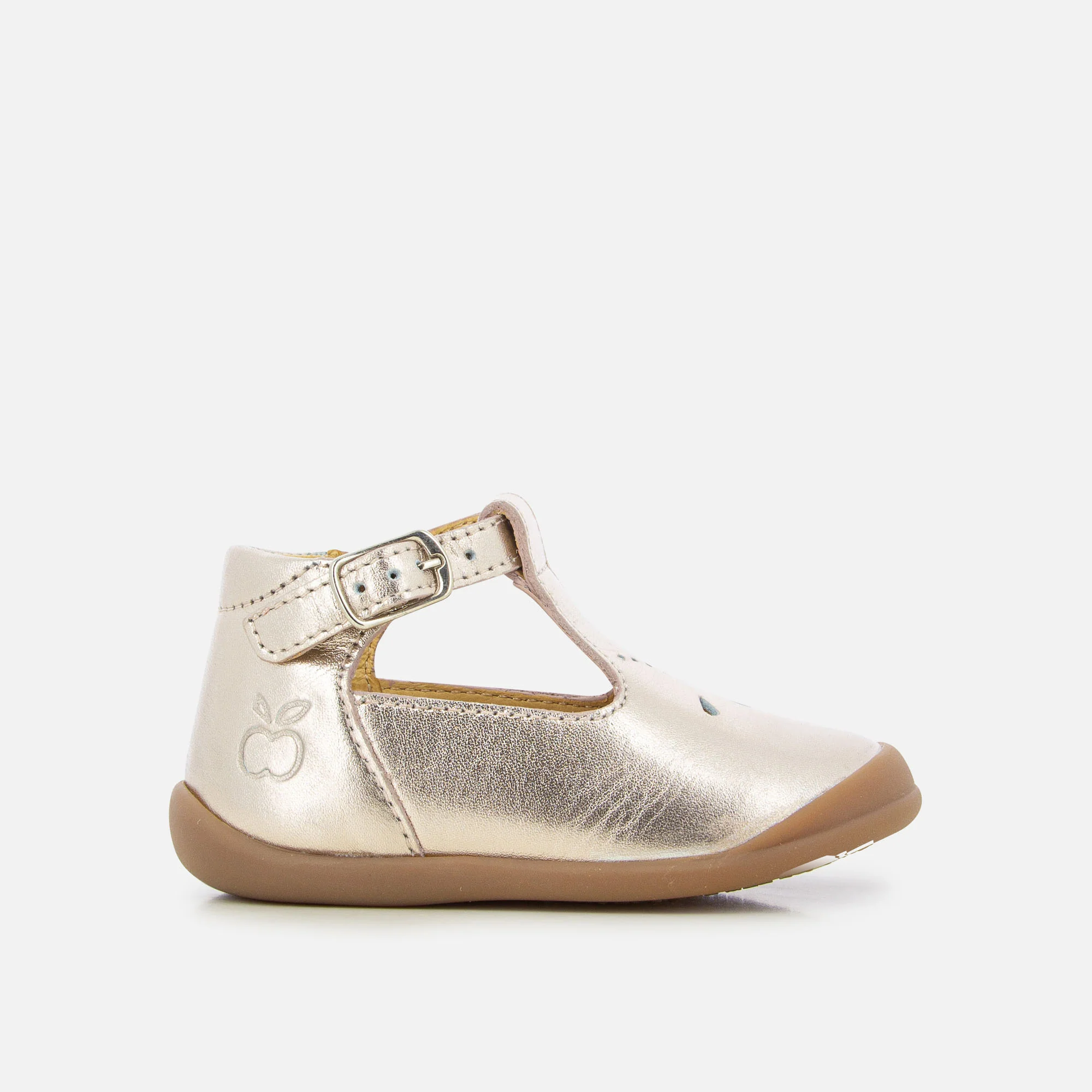 FLEX-UP SALOME