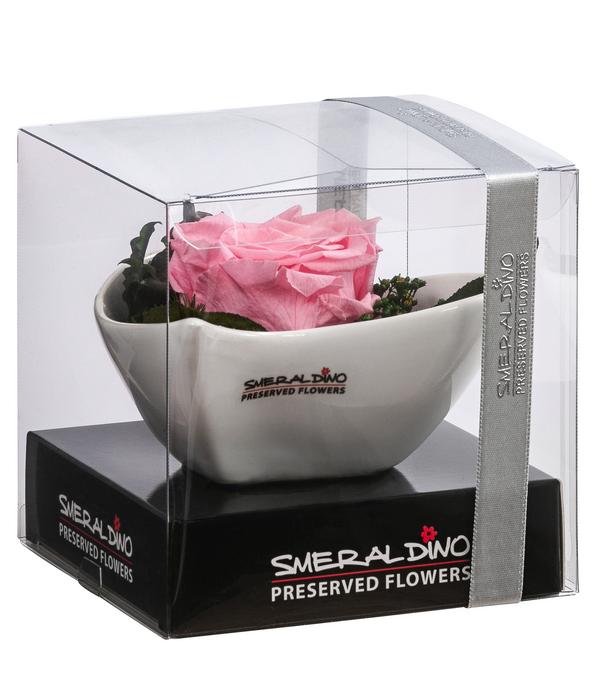 Dehner Herzschale mit Longlife-Rose Lena,