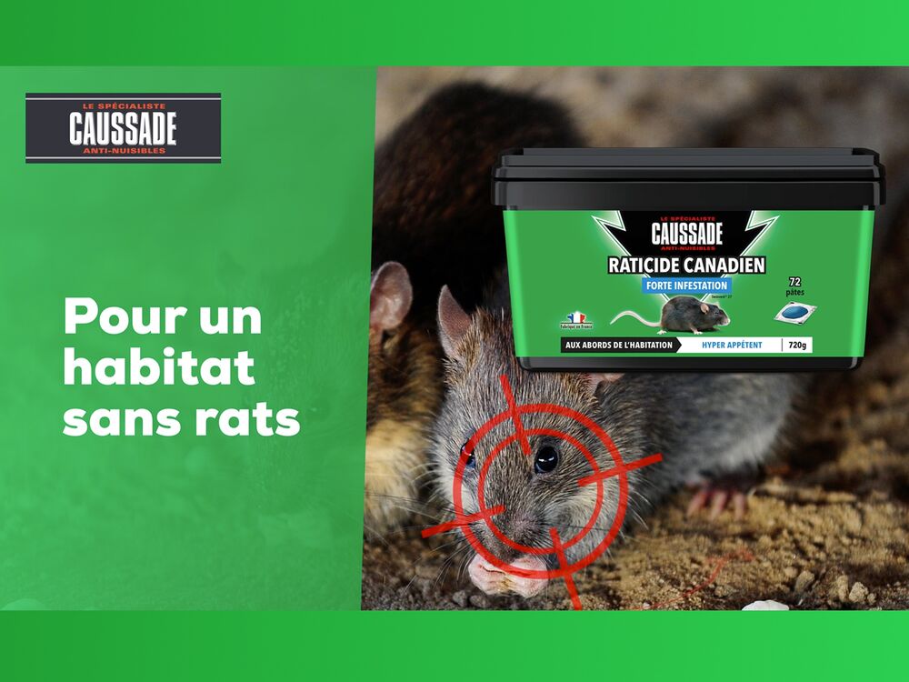 Anti rats lot de 2 boîtes raticide canadien pat'appât fortes infestati