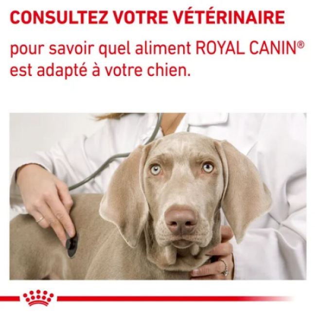 Croquettes Royal Canin Expert Care Neutered Adulte Small Dog Weight & Dental