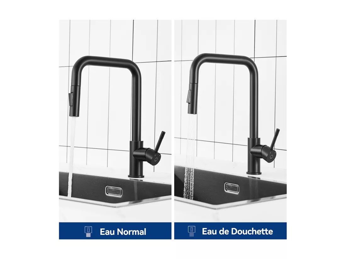 Cecipa max Robinet Douchette Noir Mitigeur de Cuisine avec Douchette Extractible Mitigeur Évier avec 2 Modes de Sortie D'eau,EU Modèle