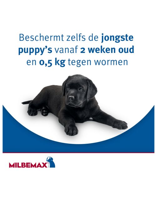Milbemax Milbemax Pup & Hond - Anti wormenmiddel