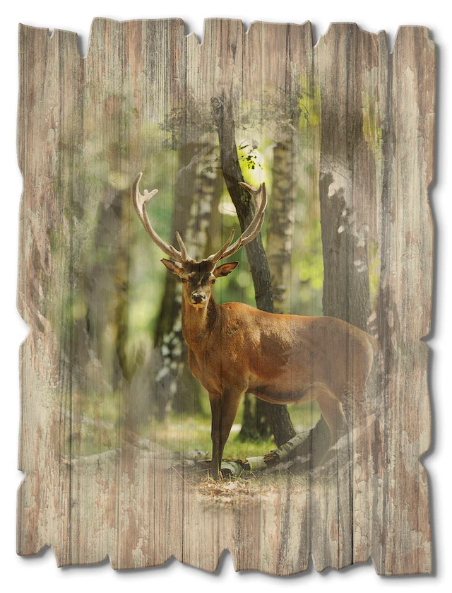 Artland Holzbild »Hirsch 4 - Wald« Wildtiere 1 Stk. tlg.