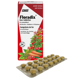 Salus Floradix IJzer Tabletten 84TB