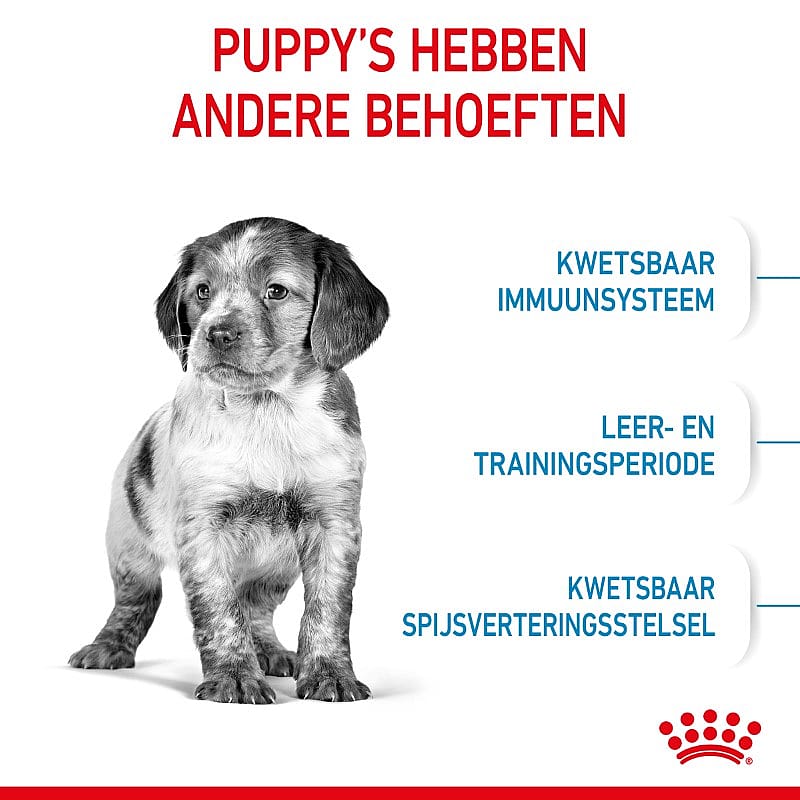 ROYAL CANIN® Medium Dog Junior 10-25 kg - Hondenvoer voor de weerstand en vacht van pups van middelgrote honden