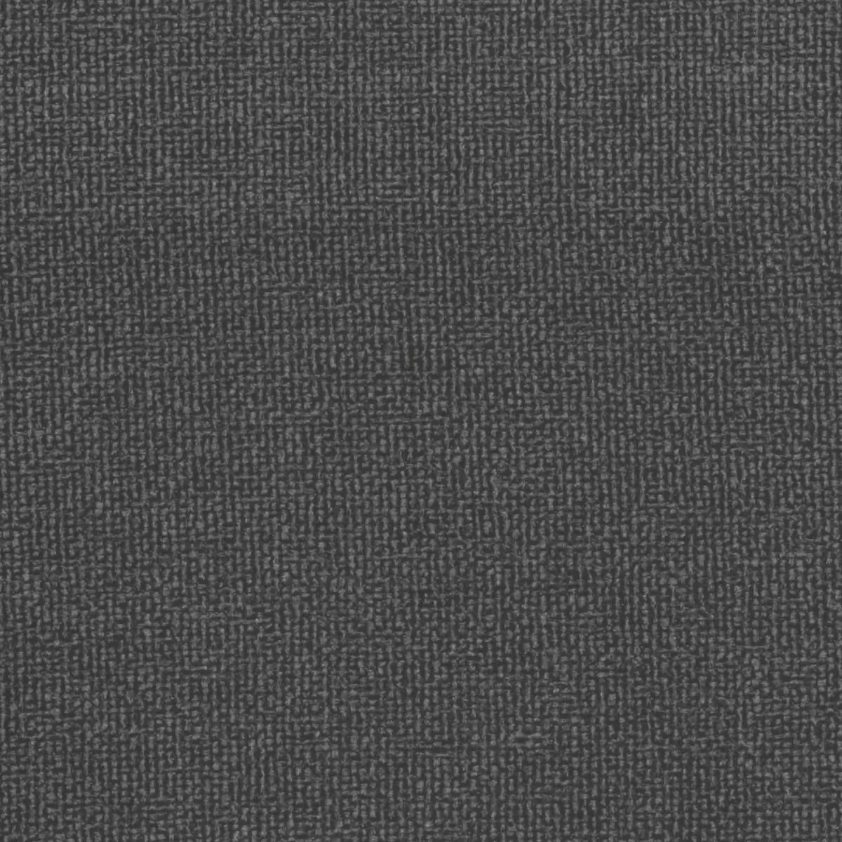 Verdunkelungsvorhang Nature CS Schwarz