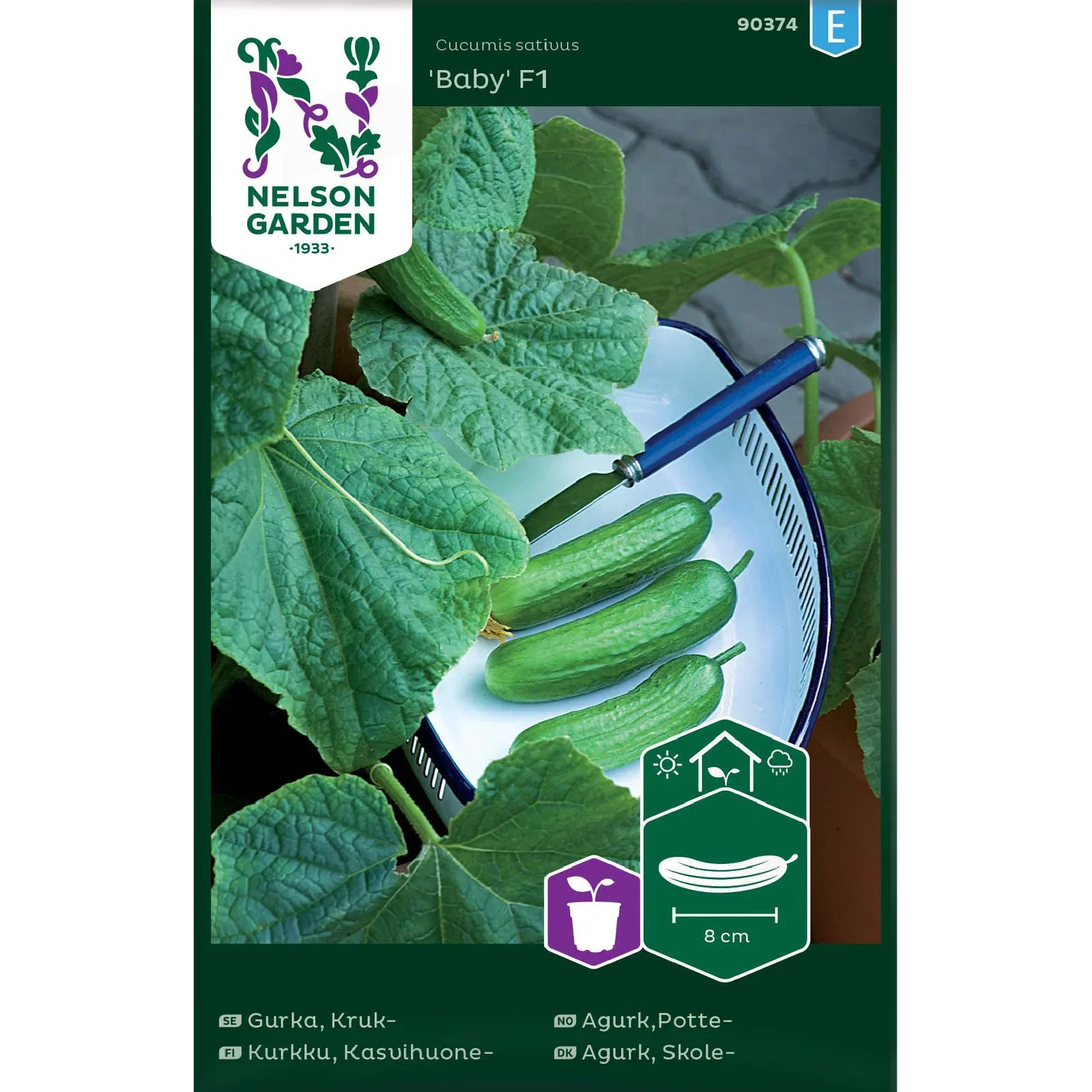 Cucumis sativus  'Baby' Potteagurk 'Baby'
