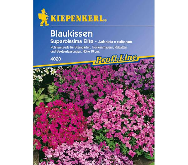 Kiepenkerl Saatgut Blaukissen