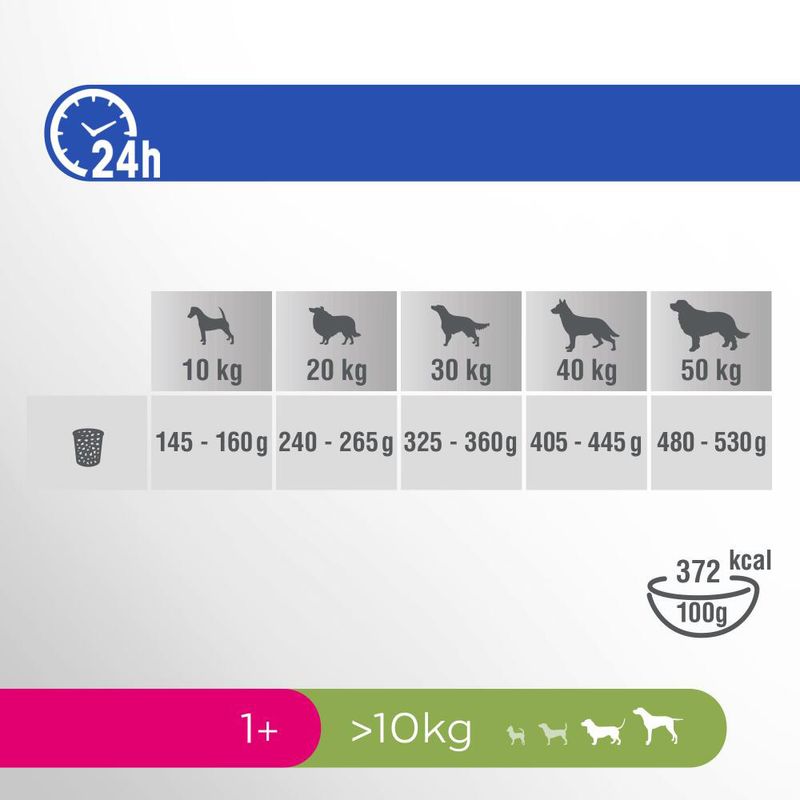 PERFECT FIT Adult > 10 kg