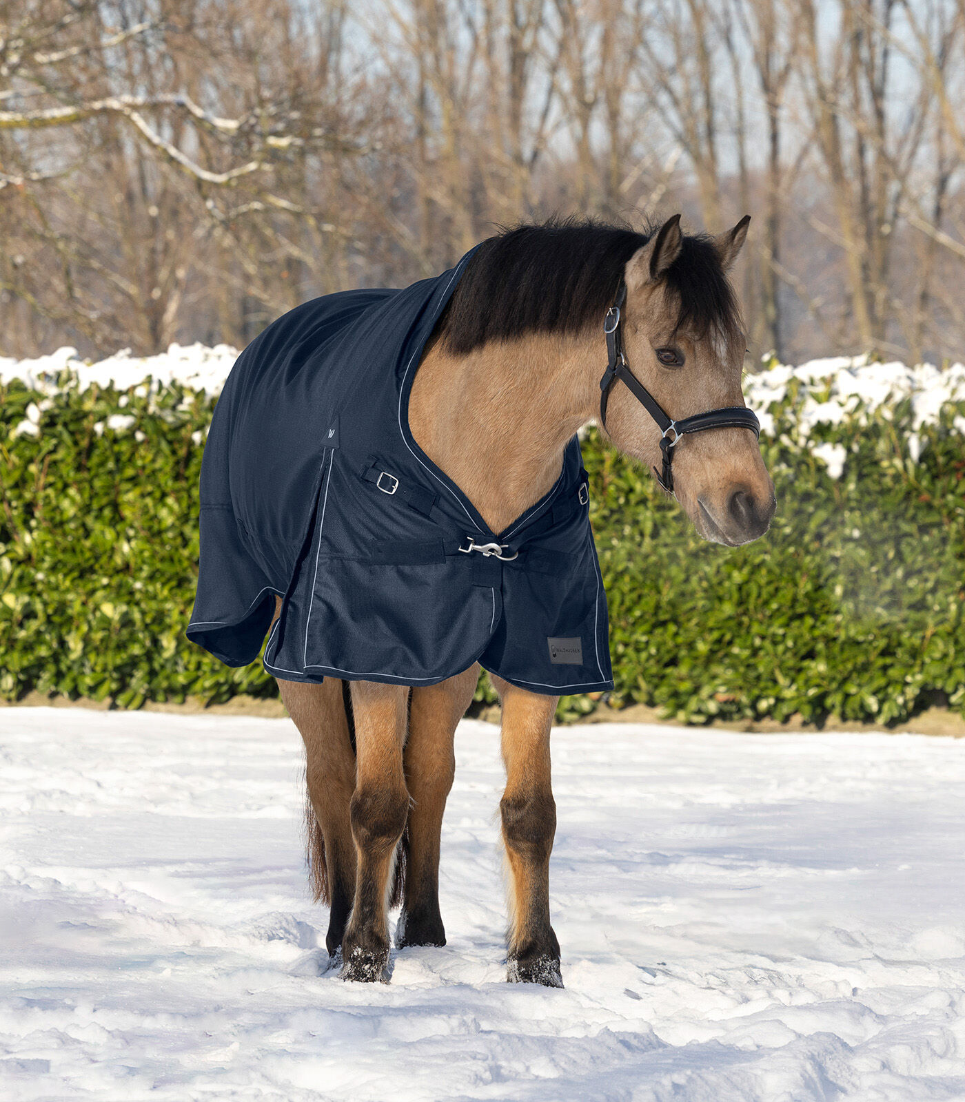 Waldhausen Scandic Hoge nek 200 gr - Winterdeken - Paardendeken - Blauw - 125/175