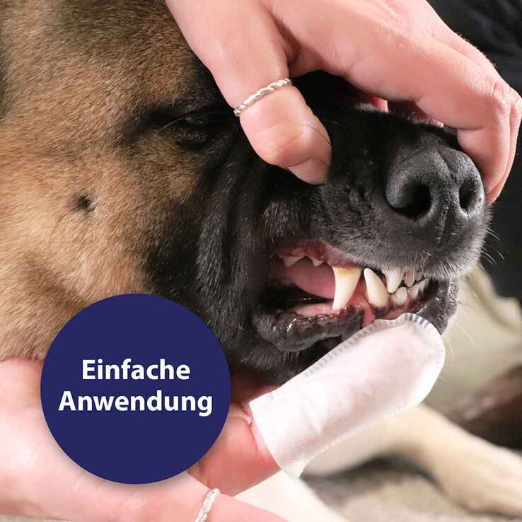 Canosept Zahnpflege Finger-Pads für Hunde, 50 St