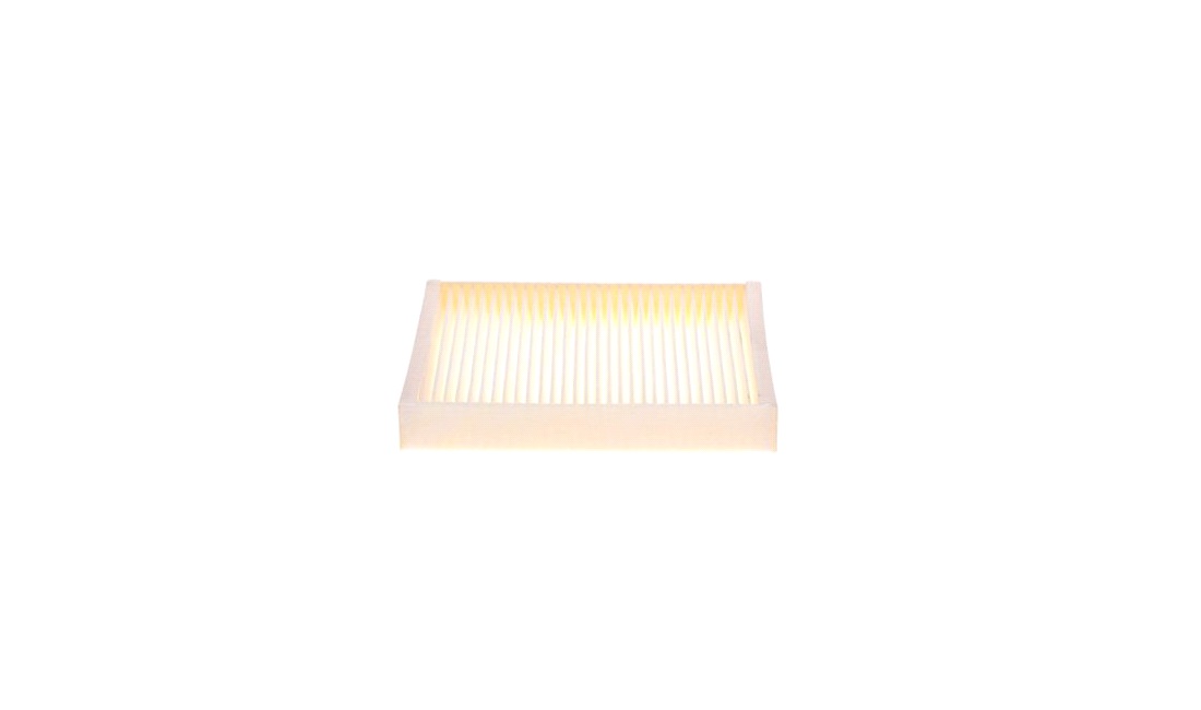 Pollenfilter, Pollenfilter