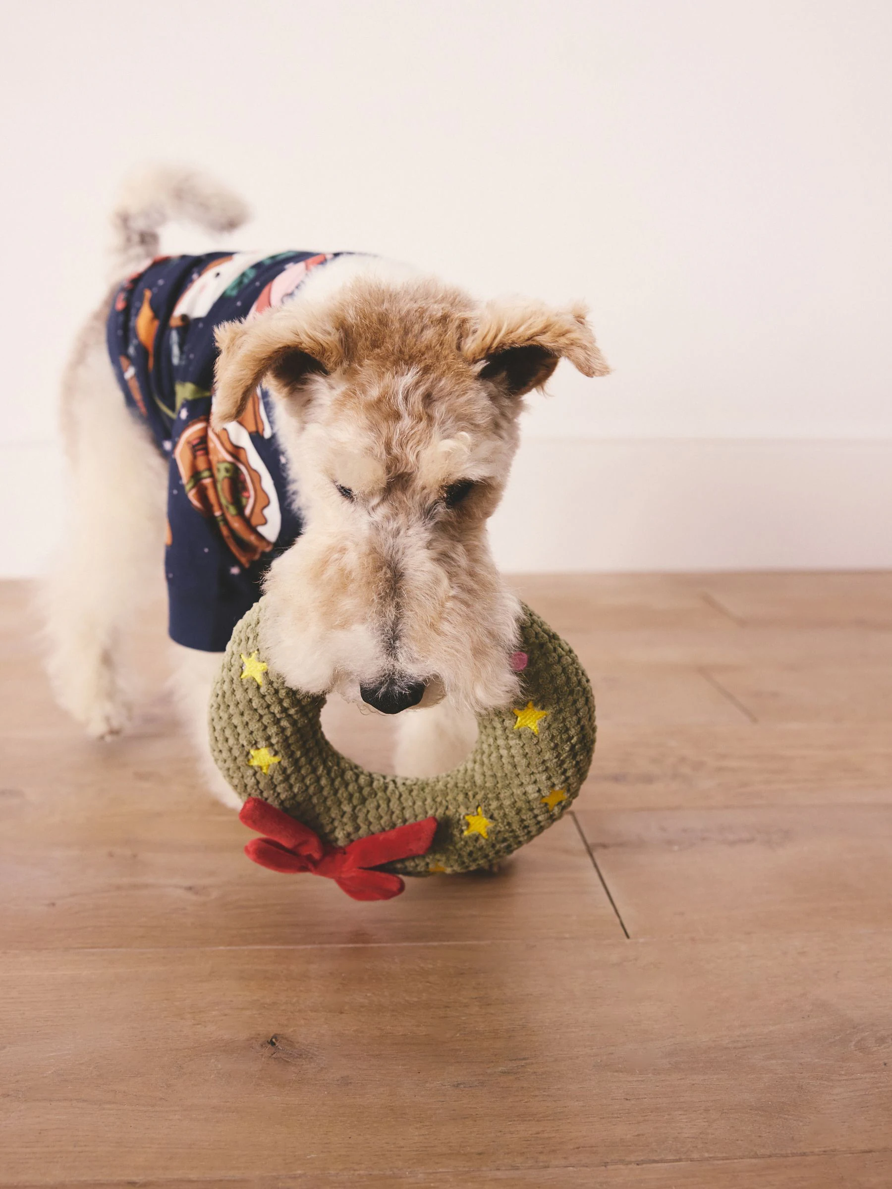 Matching Family - Behaaglijke kerstpyjama voor huisdieren