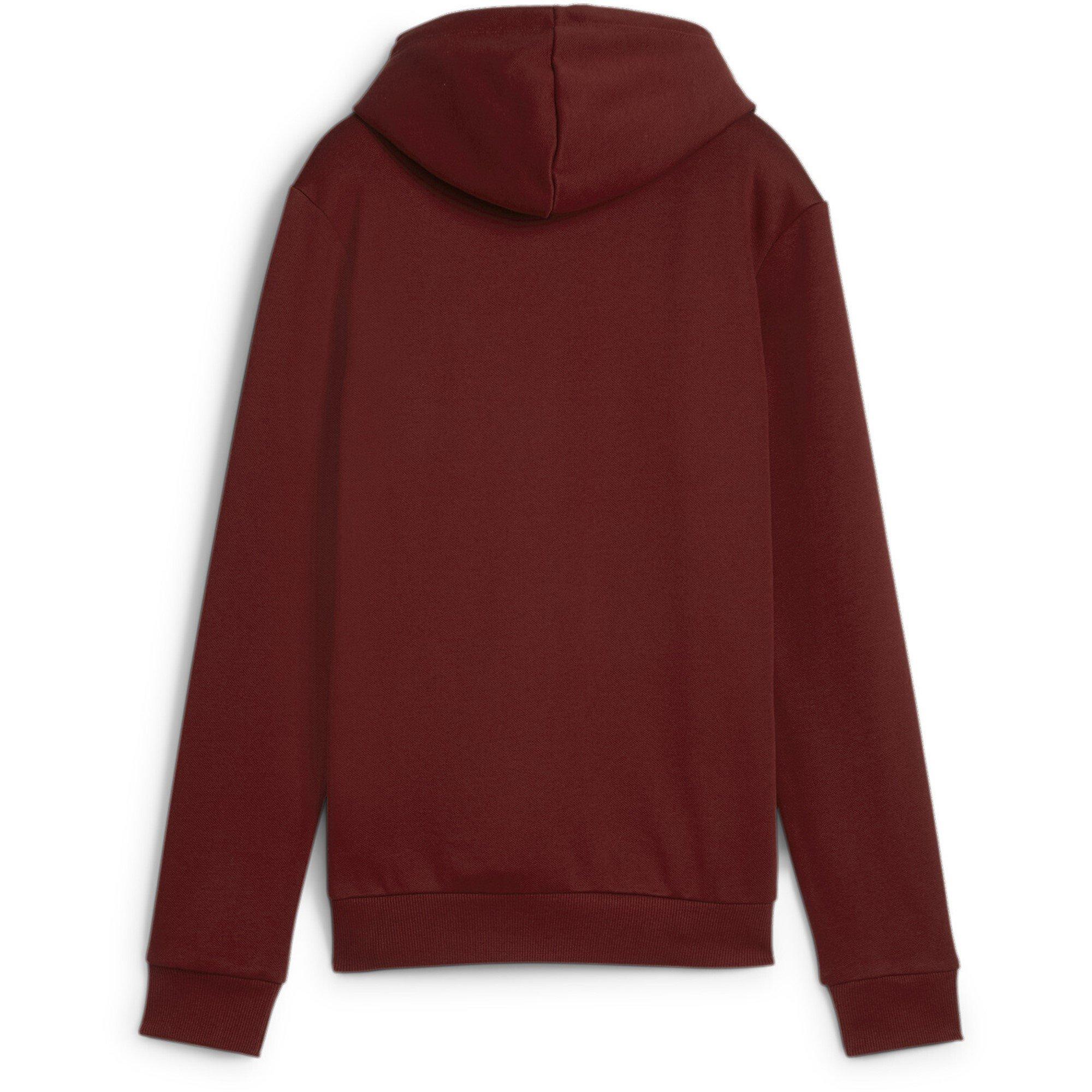 Puma No1 Logo Ladies Hoody