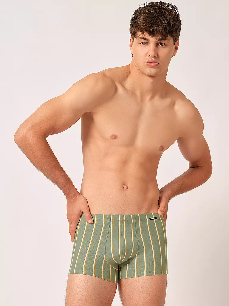 SKINY Pants 2-er Pkg. greenbay stripes selection grün