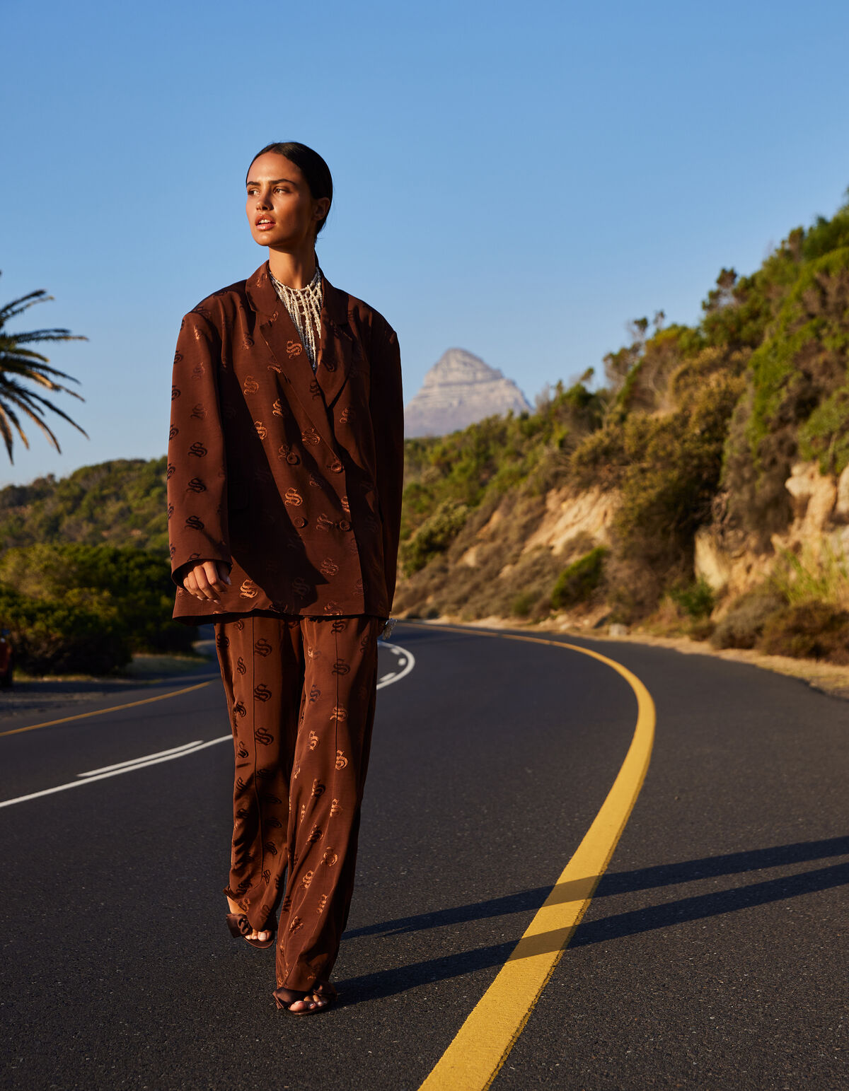 Jacquard Blazer Bruin