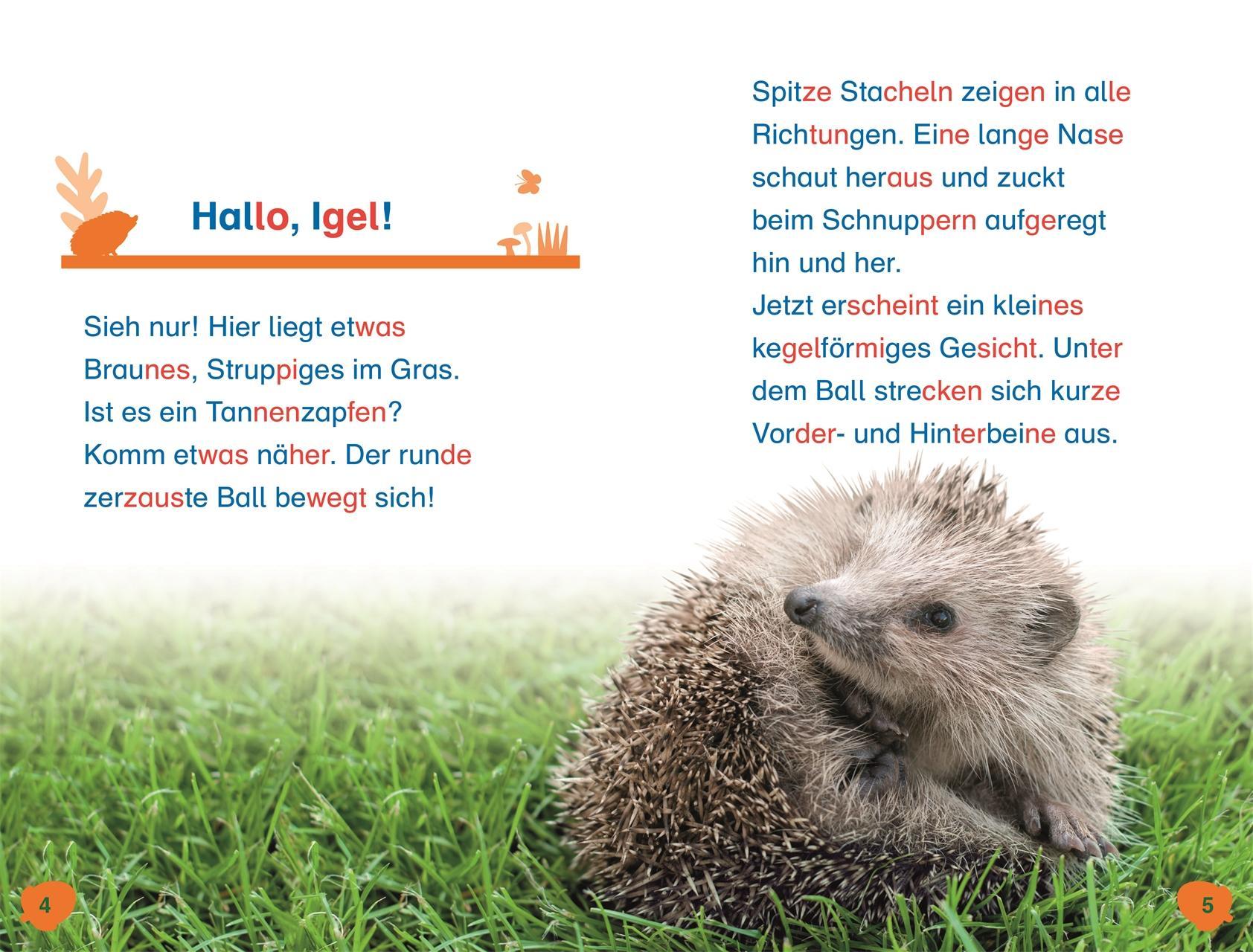 SUPERLESER! Hallo, Igel!