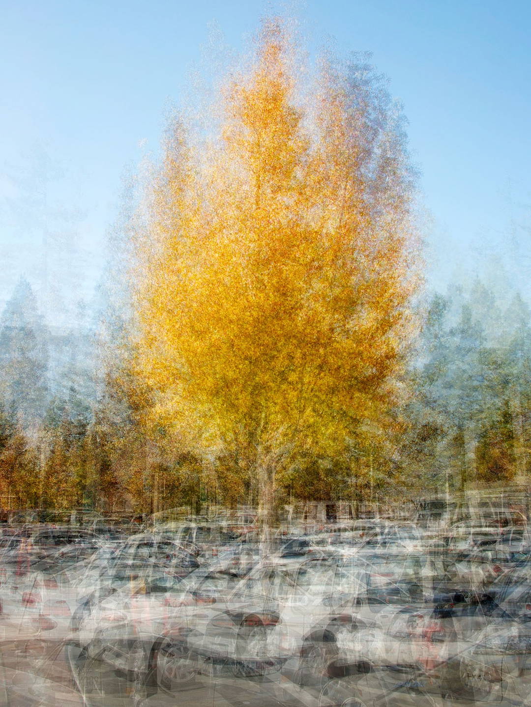 Santa Cruz, Four by Pep Ventosa - Limited Edition. Edition of: 150. Signed.