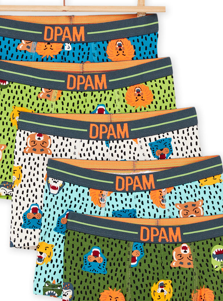 Lot de 5 boxers à imprimé fantaisie