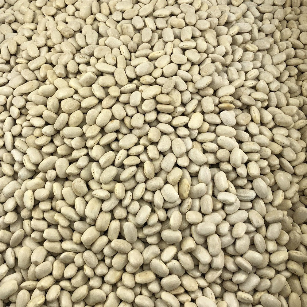 Haricot Blanc Bio en Vrac 25kg Vrac Bio