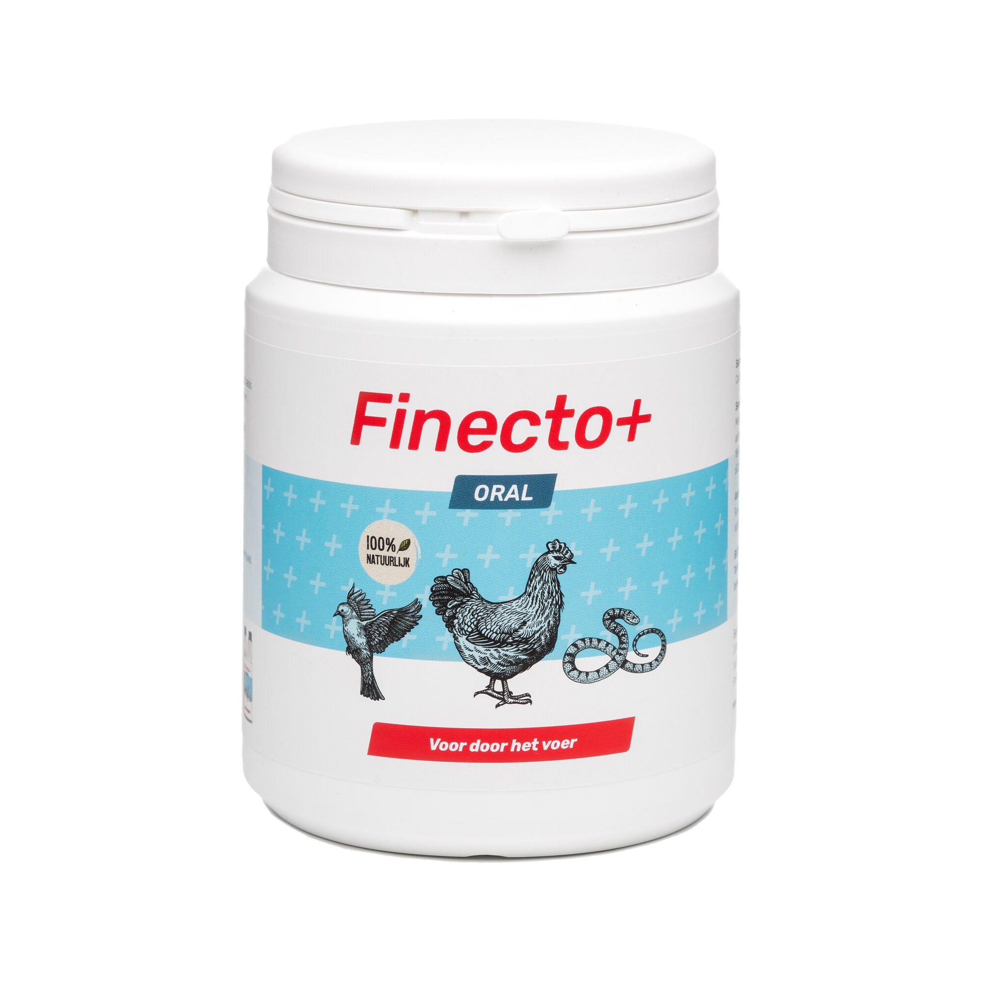 Finecto+ Oral