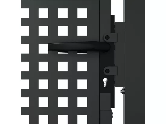 Portail de jardin anthracite 105x225 cm acier