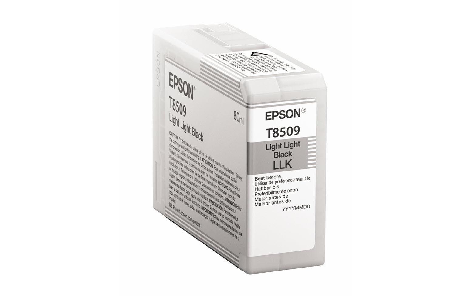 Tinte C13T850900Druckertinte, Light Light Black