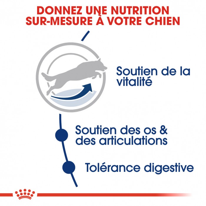 Royal Canin Maxi Adult 5+ - Croquettes pour chien