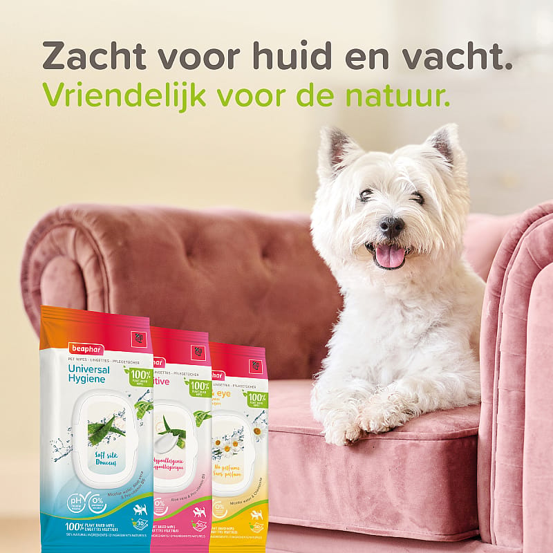Beaphar Dierendoekjes Ogen & Oren Hond Kat 30 stuks | 15388