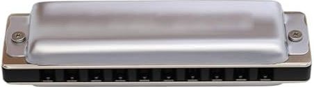 10-gaats bluesmondharmonica voor beginners beginners mondharmonica(A)