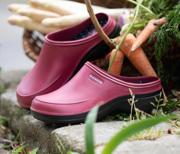 Blackfox Clog Mellow