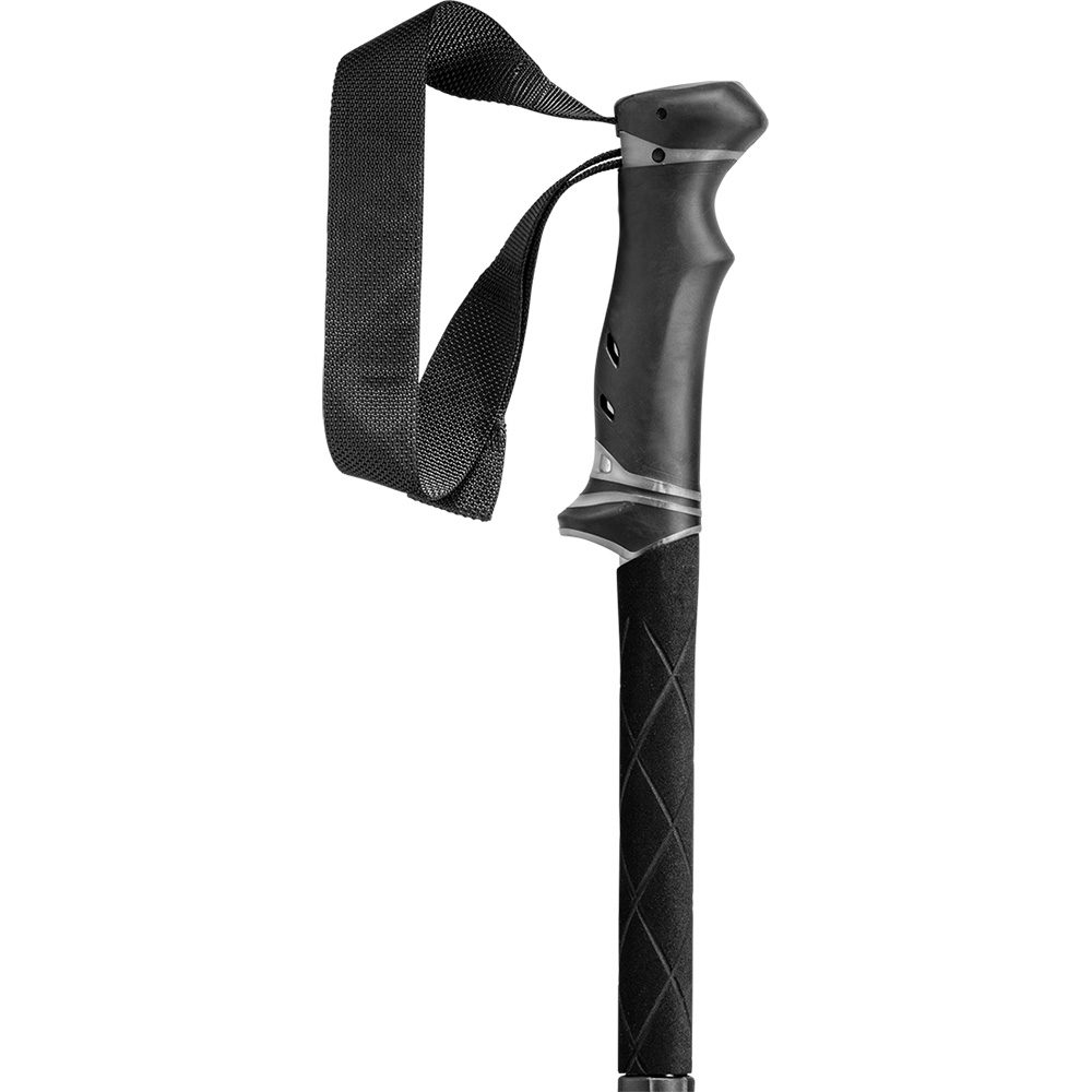 LEKI Legacy FX TA Wanderstöcke silbergrau