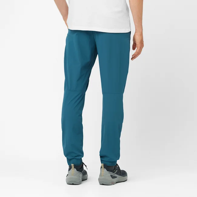 WAYFARER EASE  Hose Herren